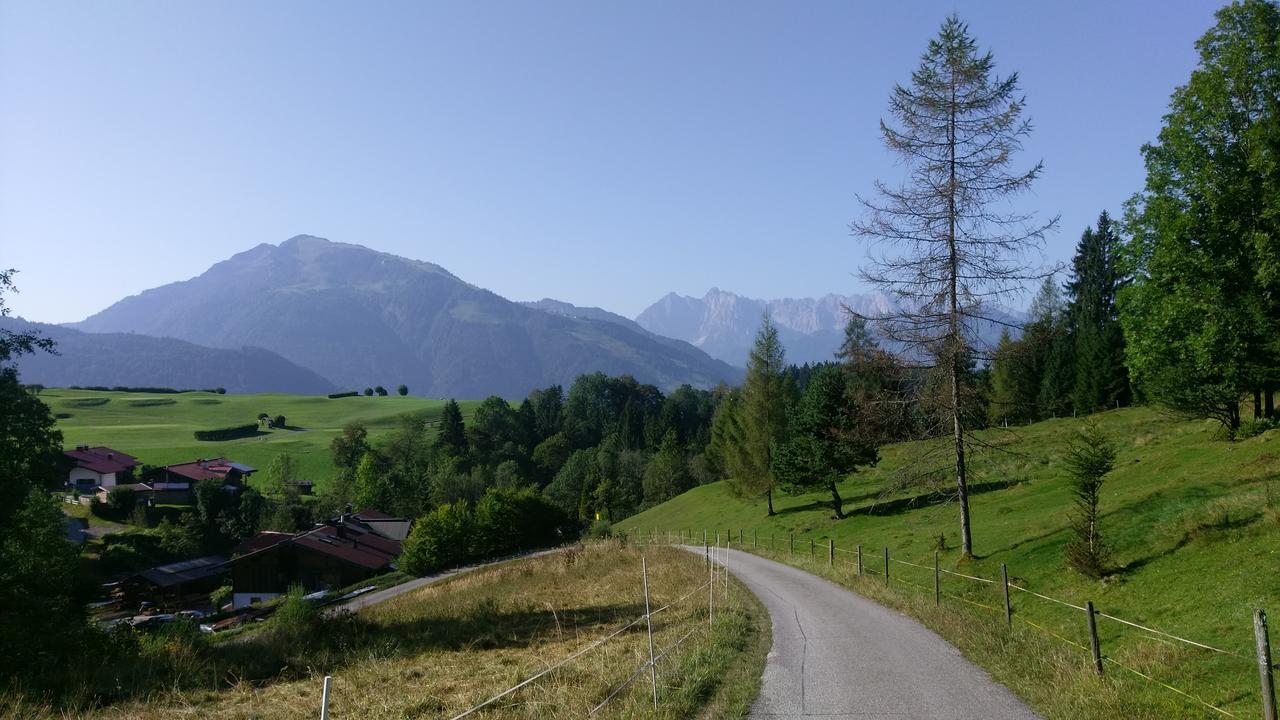 Theresenhof Reit im Winkl Bagian luar foto