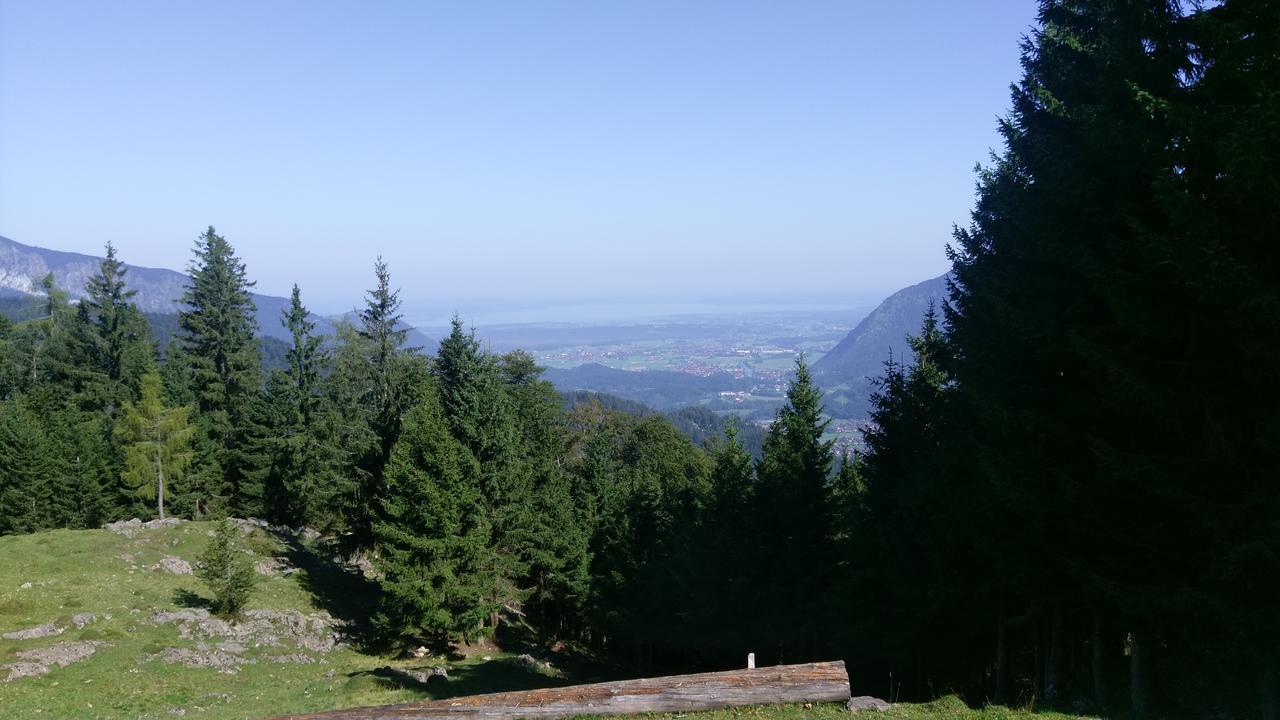 Theresenhof Reit im Winkl Bagian luar foto